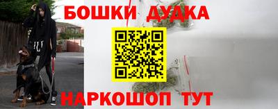 молекула духа Ижевск